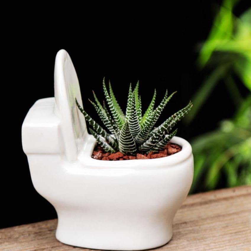 Artisan Crafted Clay Bathroom Plant Holder